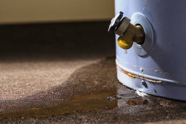 Best 24-hour water damage restoration  in Pioneer, OH