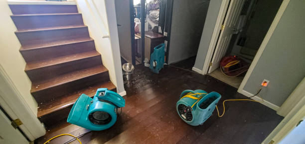 Best Water damage restoration process  in Pioneer, OH