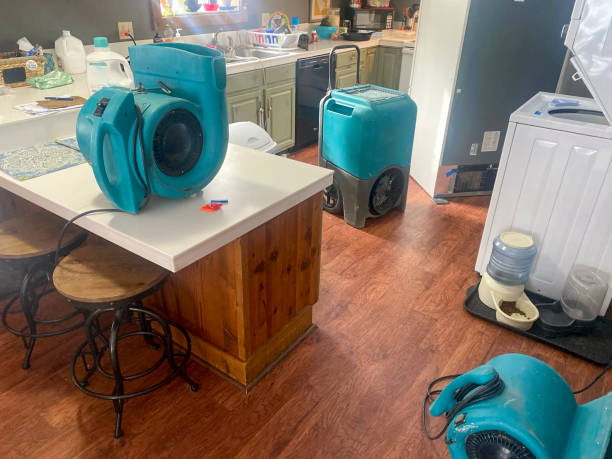 Best Water damage restoration near me  in Pioneer, OH