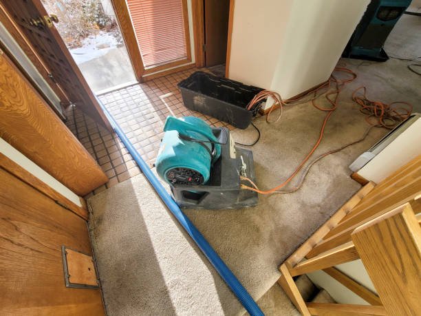 Best Ceiling water damage repair  in Pioneer, OH