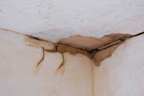 Best Emergency water damage restoration  in Pioneer, OH