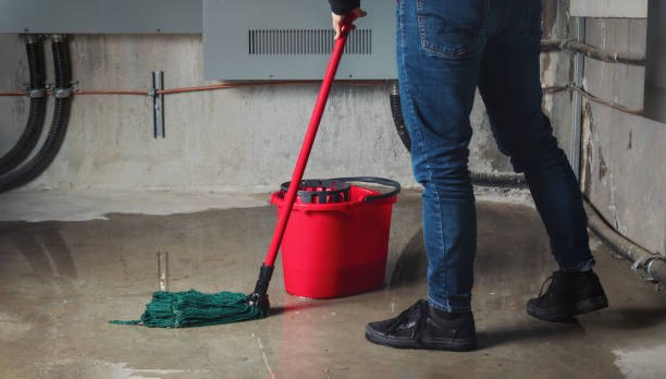 Best Commercial water damage restoration  in Pioneer, OH