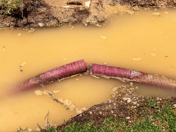 Water damage restoration mold remediation in Pioneer, OH