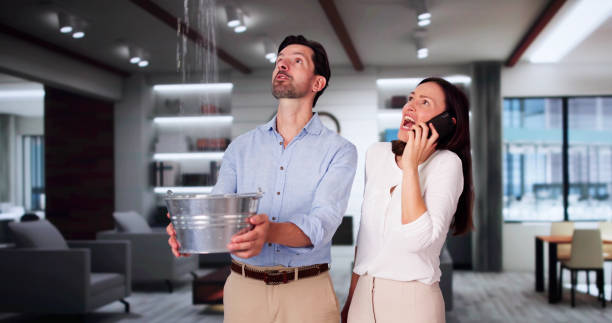 Reliable Pioneer, OH Water damage restoration Solutions