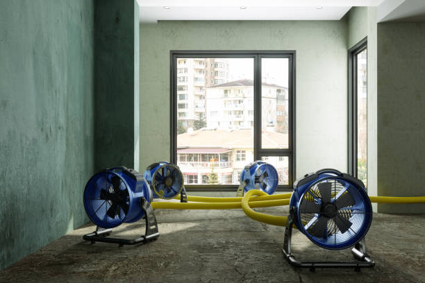 Best Water damage restoration mold remediation  in Pioneer, OH